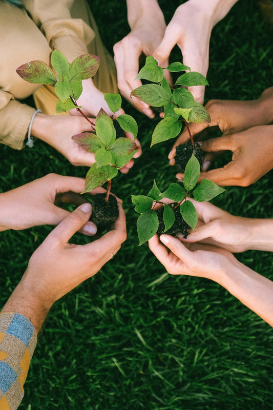 Planet First: How We Celebrate World Earth Day at Liola